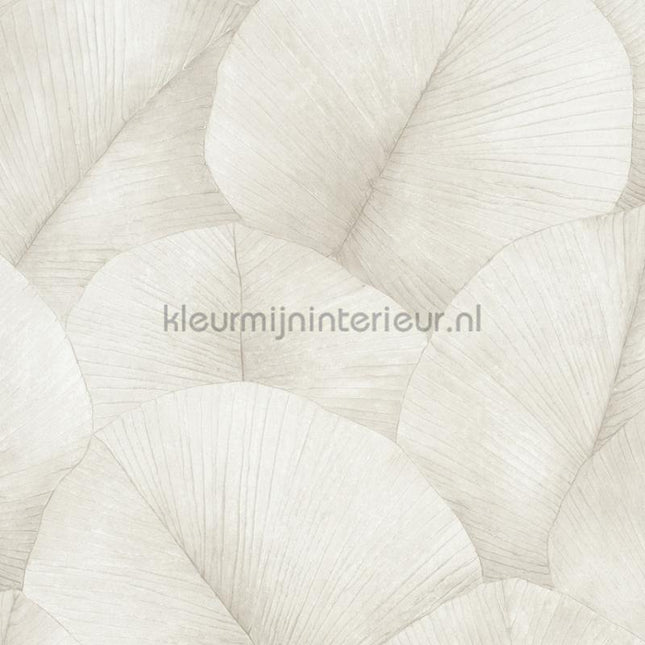 Noordwand Kumano 34510 | Bestellen bij https://www.kleurmijninterieur.nl/