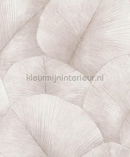 Noordwand Kumano 34511 | Bestellen bij https://www.kleurmijninterieur.nl/