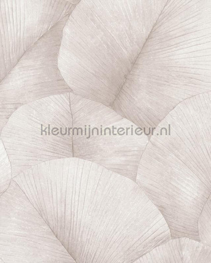 Noordwand Kumano 34511 | Bestellen bij https://www.kleurmijninterieur.nl/
