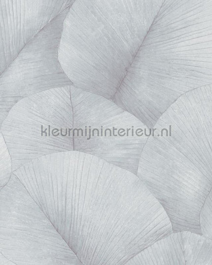 Noordwand Kumano 34512 | Bestellen bij https://www.kleurmijninterieur.nl/