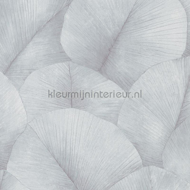 Noordwand Kumano 34512 | Bestellen bij https://www.kleurmijninterieur.nl/