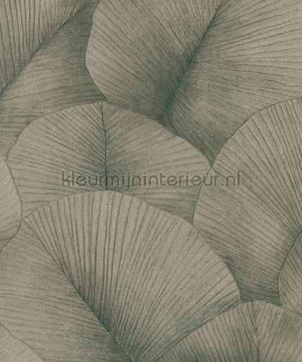 Noordwand Kumano 34513 | Bestellen bij https://www.kleurmijninterieur.nl/