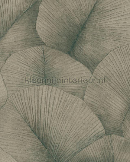 Noordwand Kumano 34513 | Bestellen bij https://www.kleurmijninterieur.nl/