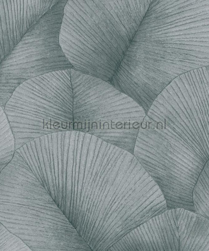 Noordwand Kumano 34514 | Bestellen bij https://www.kleurmijninterieur.nl/