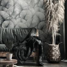 Noordwand Kumano 34514 | Bestellen bij https://www.kleurmijninterieur.nl/