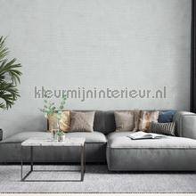 Noordwand Botanica 33326 | Bestellen bij https://www.kleurmijninterieur.nl/