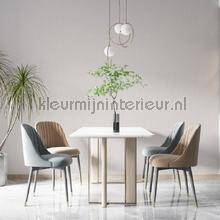 Noordwand Botanica 33963 | Bestellen bij https://www.kleurmijninterieur.nl/