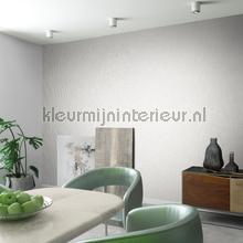 Noordwand Kumano 34172 | Bestellen bij https://www.kleurmijninterieur.nl/