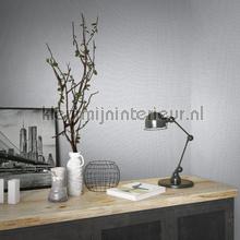 Noordwand Kumano 34173 | Bestellen bij https://www.kleurmijninterieur.nl/