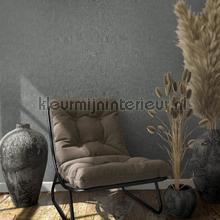 Noordwand Kumano 34174 | Bestellen bij https://www.kleurmijninterieur.nl/