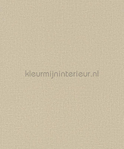 Noordwand Kumano 34175 | Bestellen bij https://www.kleurmijninterieur.nl/