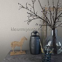 Noordwand Kumano 34176 | Bestellen bij https://www.kleurmijninterieur.nl/