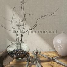 Noordwand Kumano 34177 | Bestellen bij https://www.kleurmijninterieur.nl/
