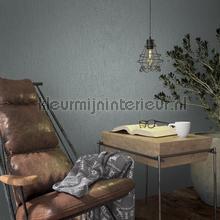 Noordwand Kumano 34181 | Bestellen bij https://www.kleurmijninterieur.nl/
