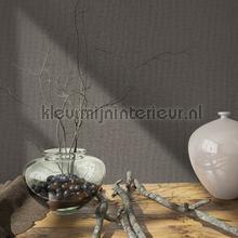 Noordwand Kumano 34183 | Bestellen bij https://www.kleurmijninterieur.nl/
