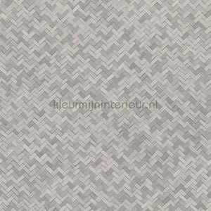 Noordwand Botanica 33311 | Bestellen bij https://www.kleurmijninterieur.nl/