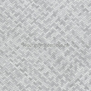 Noordwand Botanica 33314 | Bestellen bij https://www.kleurmijninterieur.nl/