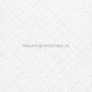 Noordwand Botanica 33315 | Bestellen bij https://www.kleurmijninterieur.nl/