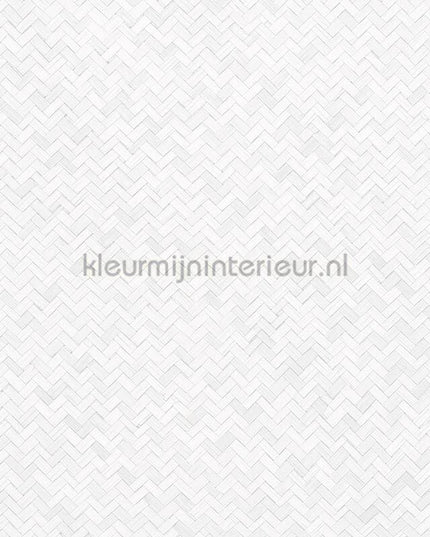 Noordwand Botanica 33315 | Bestellen bij https://www.kleurmijninterieur.nl/