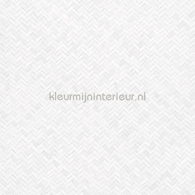 Noordwand Botanica 33315 | Bestellen bij https://www.kleurmijninterieur.nl/