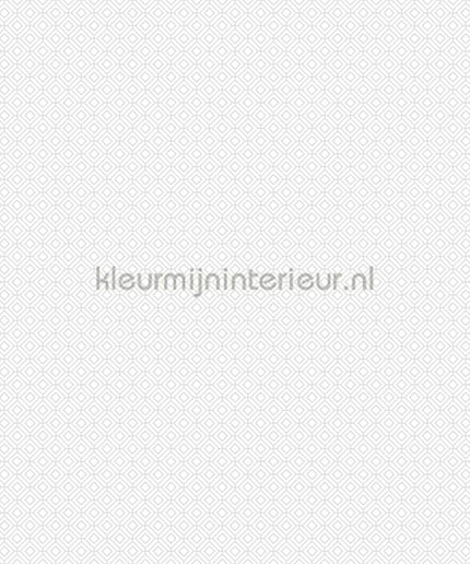 Noordwand Small Prints G56653 | Bestellen bij https://www.kleurmijninterieur.nl/