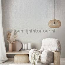 Noordwand Kumano 34501 | Bestellen bij https://www.kleurmijninterieur.nl/