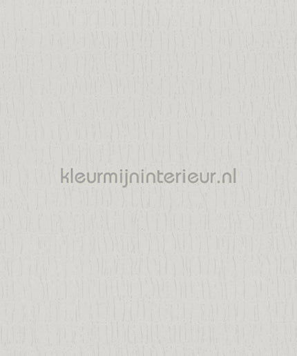 Noordwand Kumano 34503 | Bestellen bij https://www.kleurmijninterieur.nl/