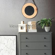 Noordwand Kumano 34506 | Bestellen bij https://www.kleurmijninterieur.nl/