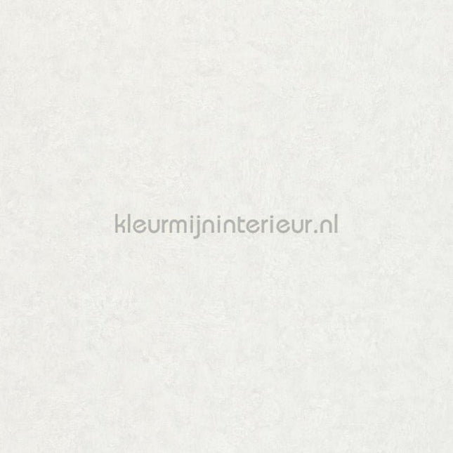Noordwand Kumano 34517 | Bestellen bij https://www.kleurmijninterieur.nl/
