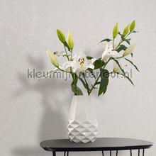 Noordwand Kumano 34517 | Bestellen bij https://www.kleurmijninterieur.nl/