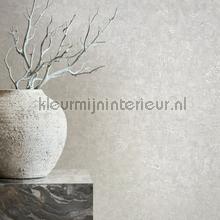 Noordwand Kumano 34518 | Bestellen bij https://www.kleurmijninterieur.nl/