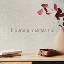 Noordwand Kumano 34520 | Bestellen bij https://www.kleurmijninterieur.nl/