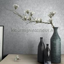 Noordwand Kumano 34523 | Bestellen bij https://www.kleurmijninterieur.nl/