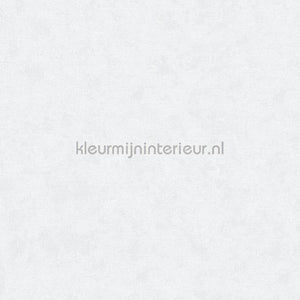 Noordwand Shades Iconic 32403 | Bestellen bij https://www.kleurmijninterieur.nl/