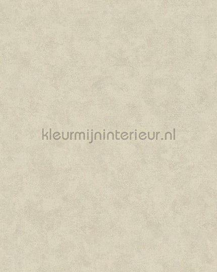 Noordwand Shades Iconic 32421 | Bestellen bij https://www.kleurmijninterieur.nl/