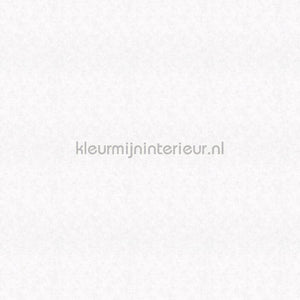 Noordwand Shades Iconic 32436 | Bestellen bij https://www.kleurmijninterieur.nl/