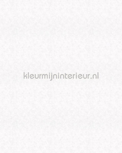 Noordwand Shades Iconic 32436 | Bestellen bij https://www.kleurmijninterieur.nl/
