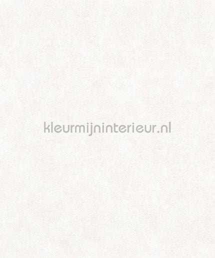 Noordwand Shades Iconic 32437 | Bestellen bij https://www.kleurmijninterieur.nl/
