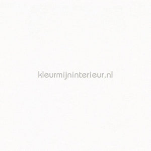Noordwand Shades Iconic 32441 | Bestellen bij https://www.kleurmijninterieur.nl/