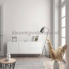 Noordwand Shades Iconic 32441 | Bestellen bij https://www.kleurmijninterieur.nl/