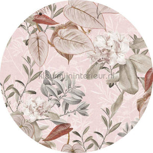 Komar Dots D1-085 | Bestellen bij https://www.kleurmijninterieur.nl/