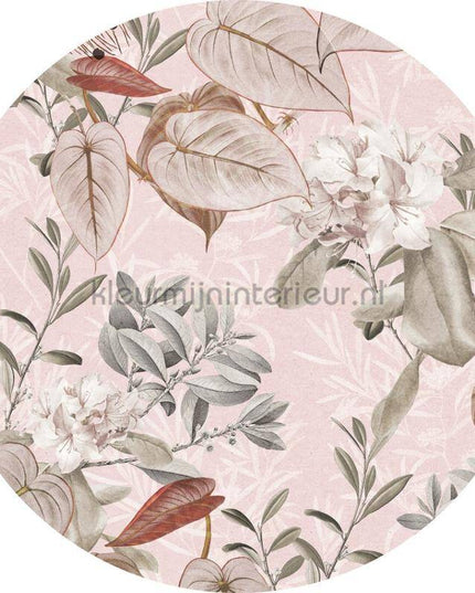 Komar Dots D1-085 | Bestellen bij https://www.kleurmijninterieur.nl/
