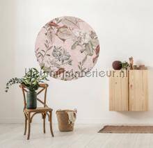 Komar Dots D1-085 | Bestellen bij https://www.kleurmijninterieur.nl/