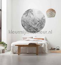 Komar Dots D1-055 | Bestellen bij https://www.kleurmijninterieur.nl/