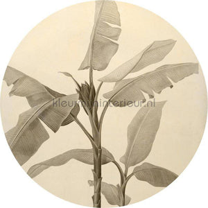 Komar Dots D1-095 | Bestellen bij https://www.kleurmijninterieur.nl/