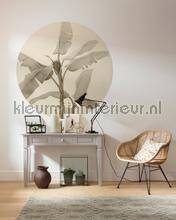 Komar Dots D1-095 | Bestellen bij https://www.kleurmijninterieur.nl/