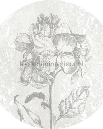 Komar Dots D1-031 | Bestellen bij https://www.kleurmijninterieur.nl/