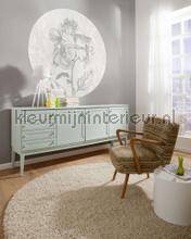 Komar Dots D1-031 | Bestellen bij https://www.kleurmijninterieur.nl/