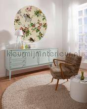 Komar Dots D1-100 | Bestellen bij https://www.kleurmijninterieur.nl/