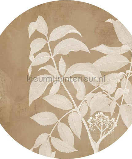 Komar Dots D1-096 | Bestellen bij https://www.kleurmijninterieur.nl/